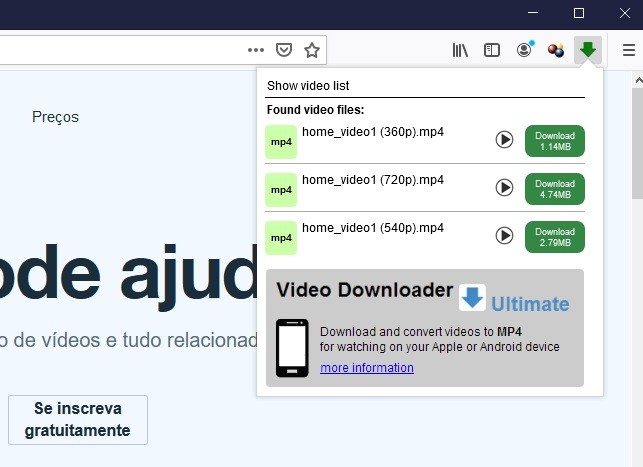 video downloader professional