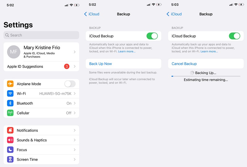 select restore from icloud backup