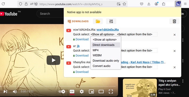 best firefox video downloader ant video downloader