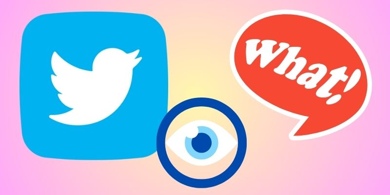 what is private twitter viewer app