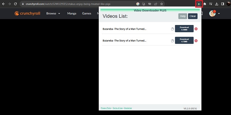 video downloader plus download process