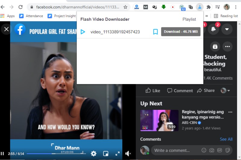 flash video download