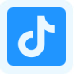 tiktok Video Downloader