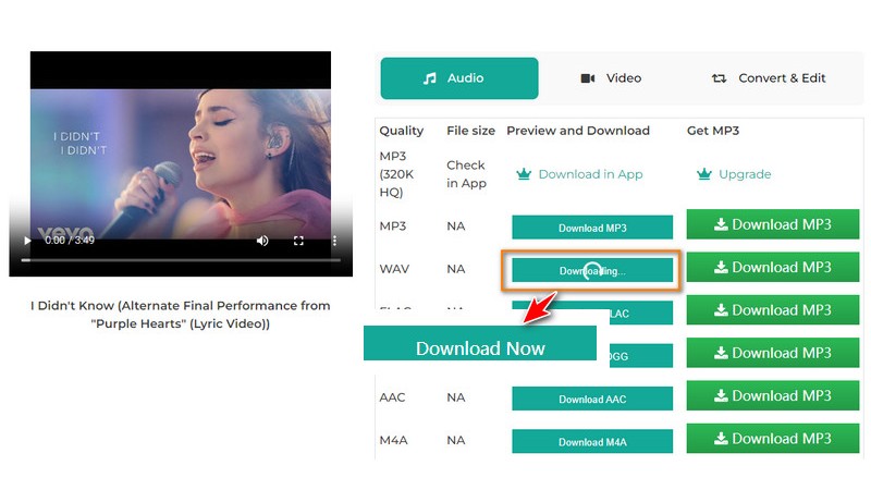 Choose MP3 Format and Start Download