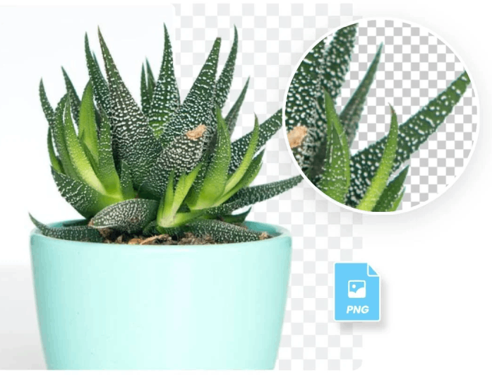 share and download pngs in seconds