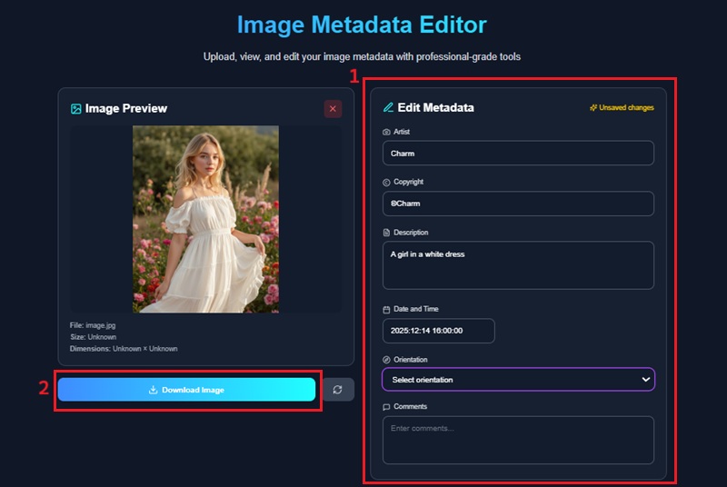 editar metadados e baixar a imagem