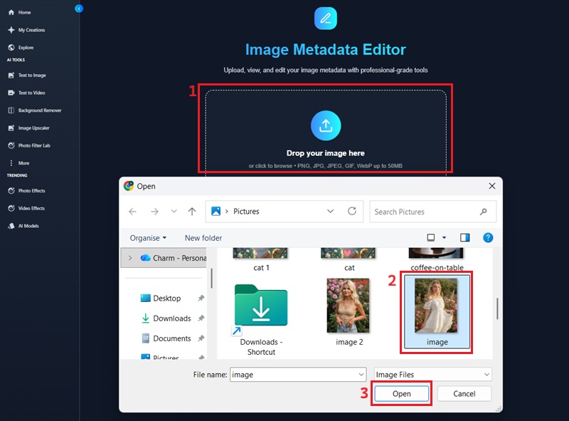 enviar imagem ao editor de metadados