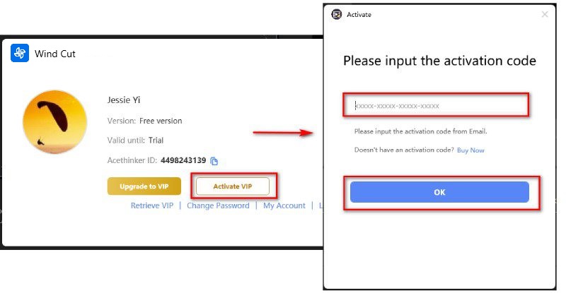 activate vip account