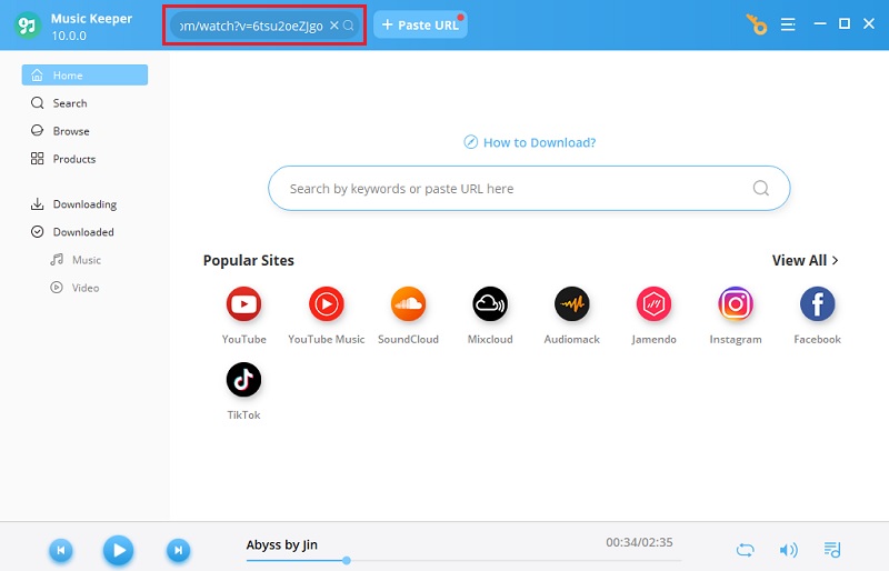 copy and paste video url