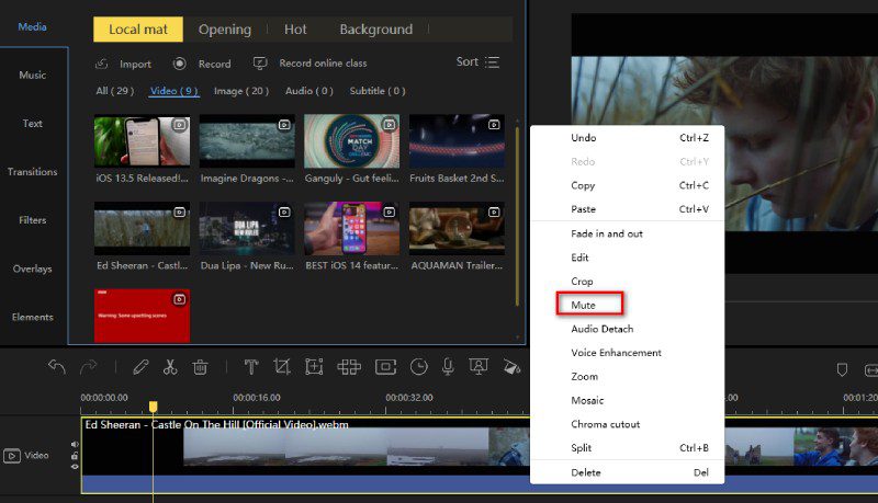 Remove Audio from Video