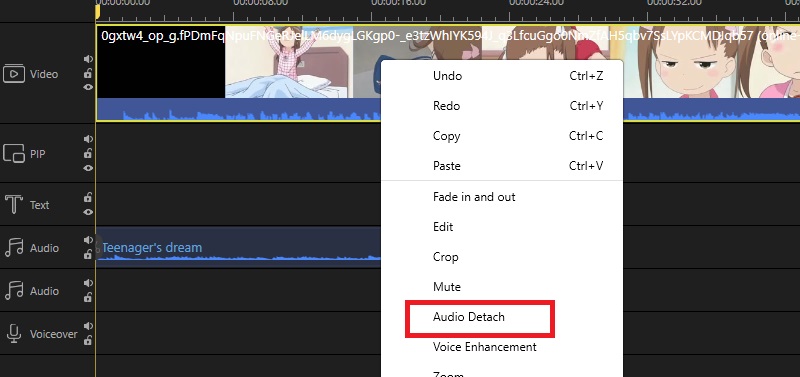 Detach Audio from Video