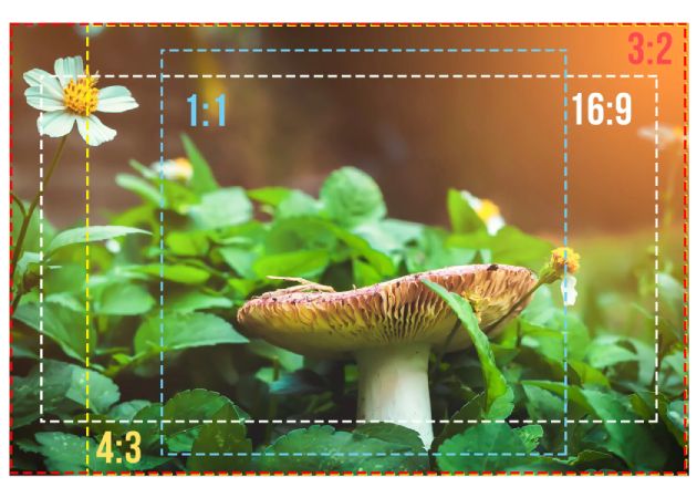 proporções de imagem predefinidas